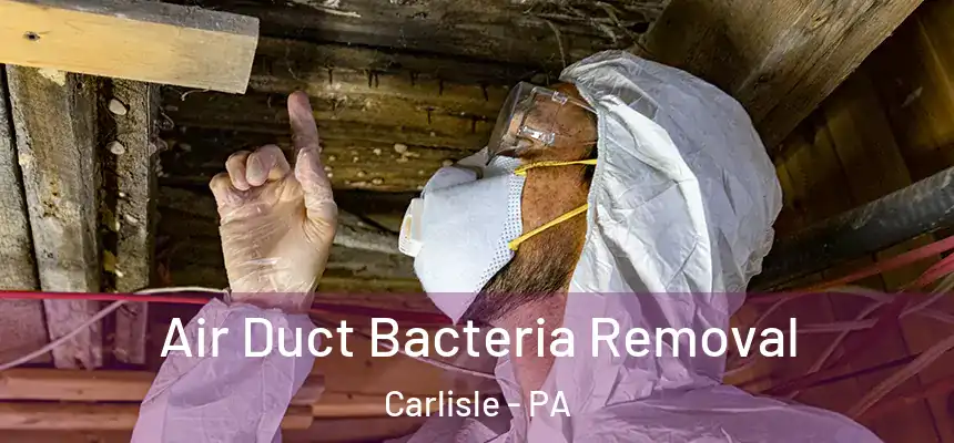  Air Duct Bacteria Removal Carlisle - PA