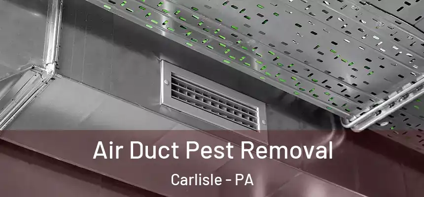  Air Duct Pest Removal Carlisle - PA