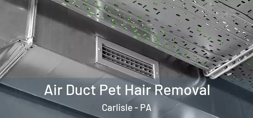  Air Duct Pet Hair Removal Carlisle - PA
