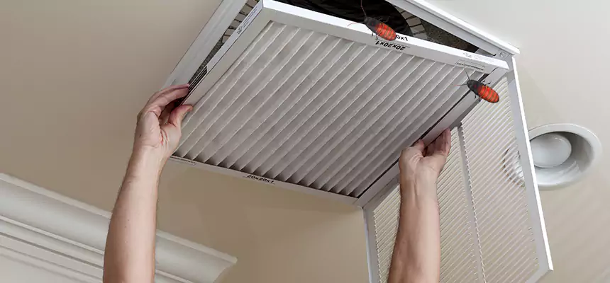 Preventive Cockroach-Proofing for Ducts in Carlisle