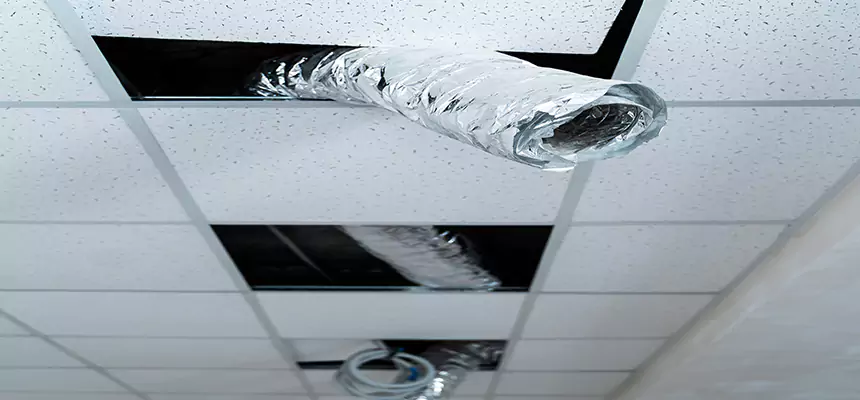 Our Air Duct Pet Hair Removal Services in Carlisle, PA