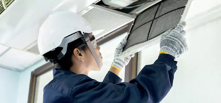 Our Mold & Mildew Removal from Air Ducts Services in Carlisle, PA