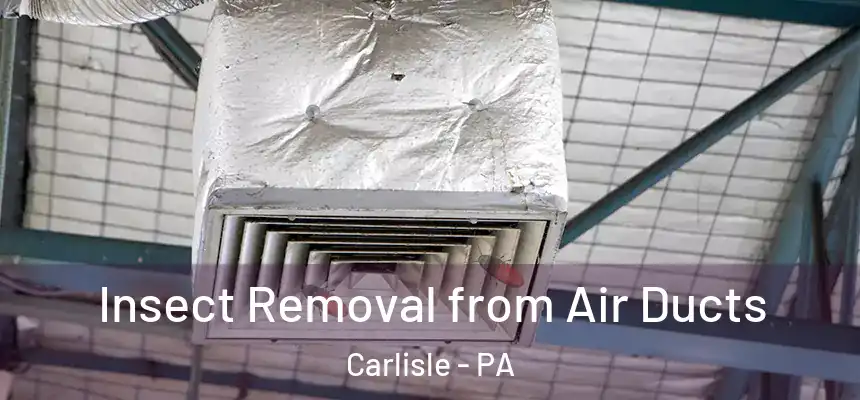  Insect Removal from Air Ducts Carlisle - PA