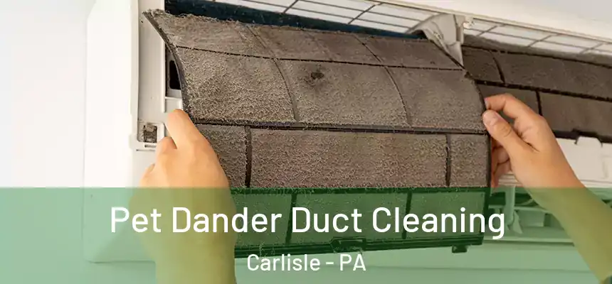  Pet Dander Duct Cleaning Carlisle - PA