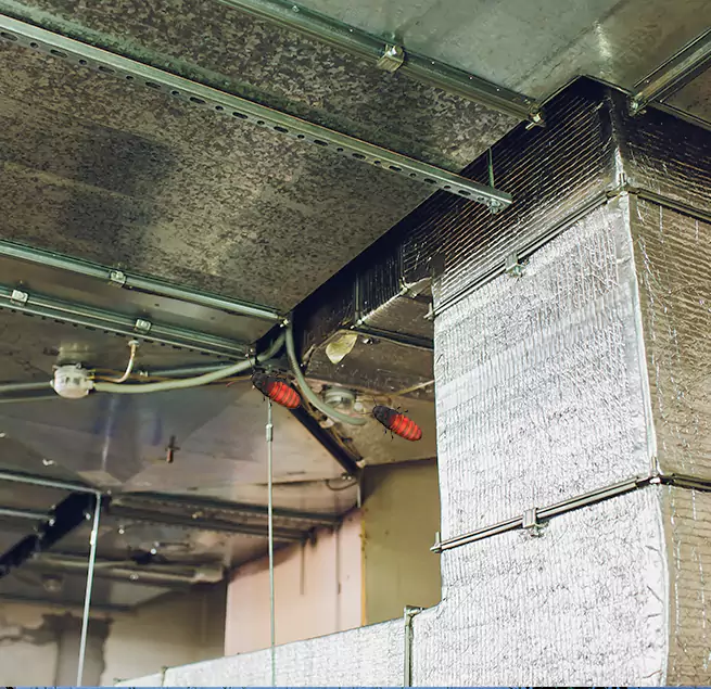 Why Homeowners & Businesses Trust Us in Carlisle, PA?