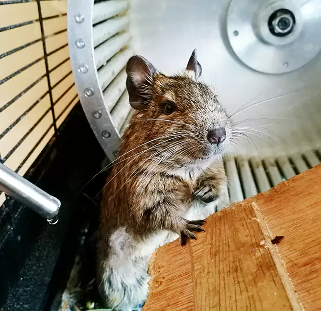 Why Homeowners & Businesses Trust Us Carlisle, PA?